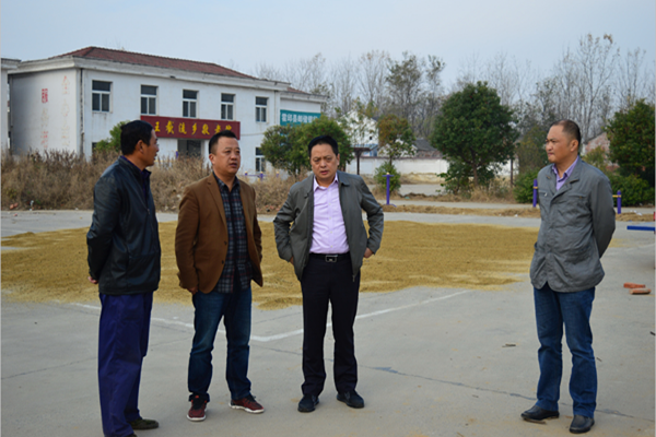 霍邱县委常委、组织部长田维胜调研指导基层党建工作